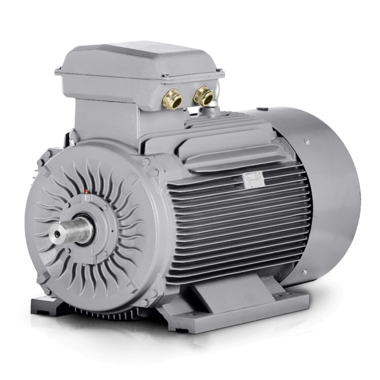 Elektromotor 132kW 400V/690V 1500 tpm 4-polig (IE3-3LC) VYBO Electric Nederland