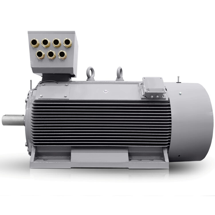 Laagspannings-elektromotor 1000 kW 400V/690V 1500 tpm (IE3-H17RL-4-polig) Verkoop